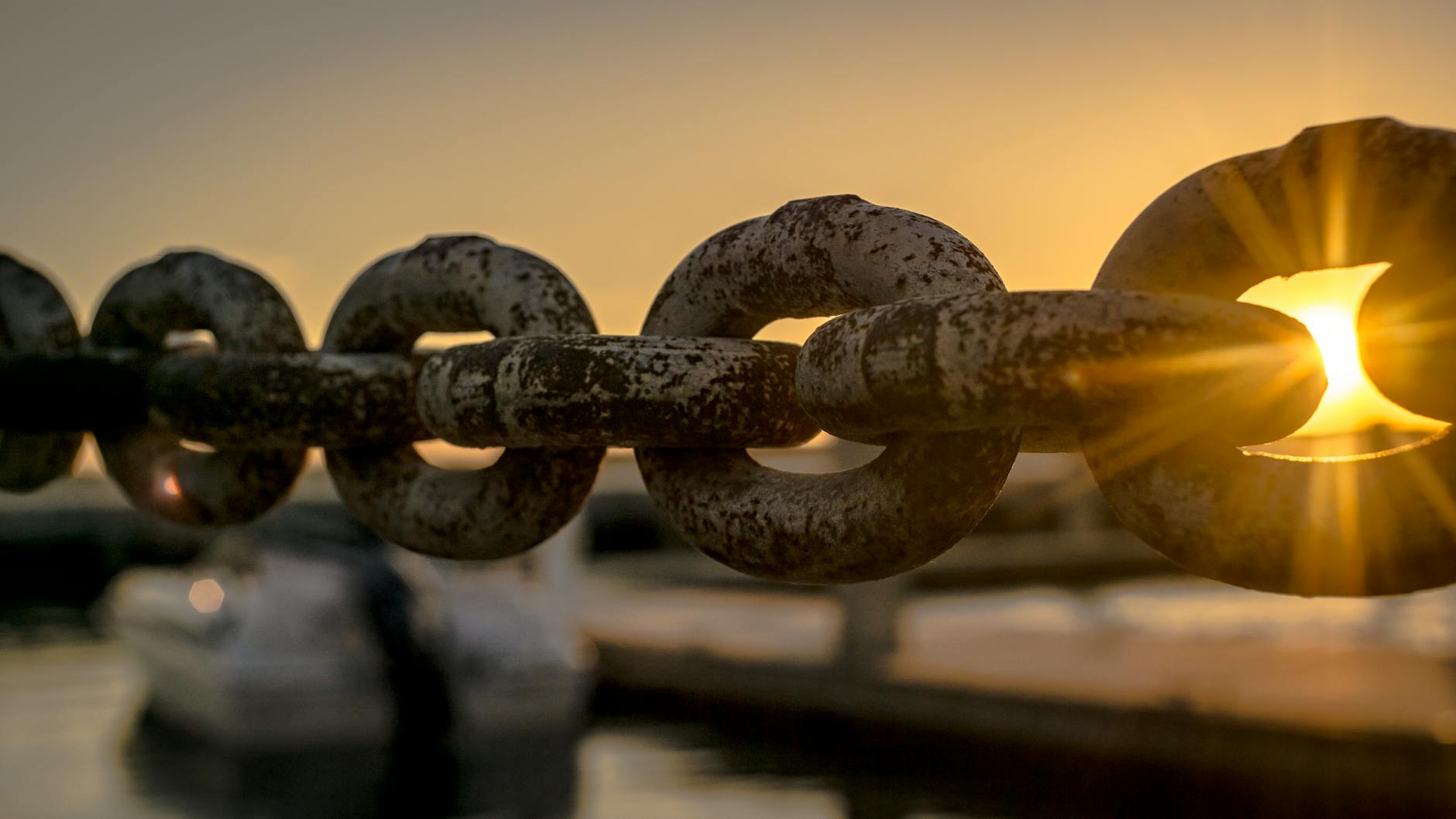 Jul 8, 2025 – ‘Chains of Causation’: The Autistic Experience