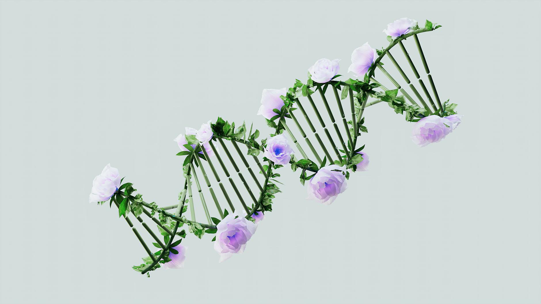 Human Cognitive Diversity as Adaptive Radiation: Genomic and Neurodivergent Pathways to Species Dominance